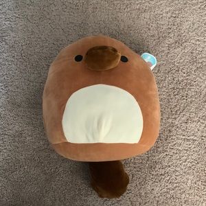 Santino the Squishmallow!!